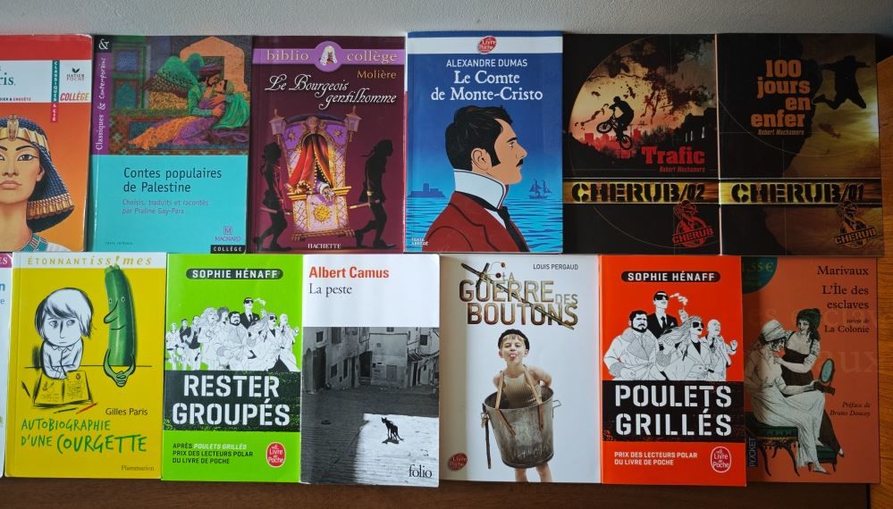 Livres de poche (2 euros le livre) 2 Metz (57)