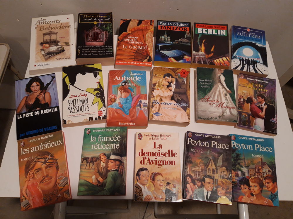 Livres de poche x 25 : Romans, Espionnage, Suspense, Policie 20 Caen (14)