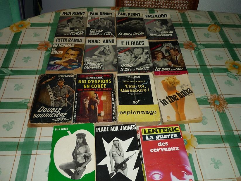 15 LIVRES DE POCHE SERIE  ESPIONNAGE  20 Perpignan (66)