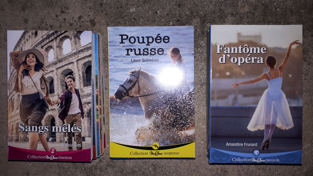 lot de livres de poche (133) 5 Vend�me (41)