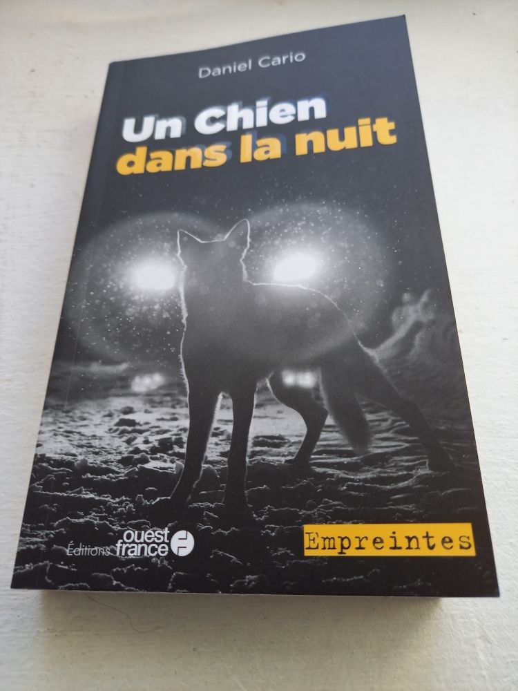 livres policiers 2 La Chapelle-Launay (44)