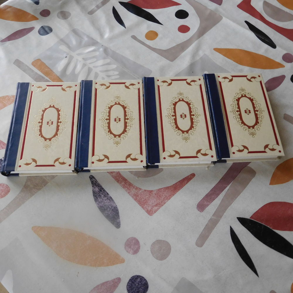 livres policiers 3 Saint-Mathurin-sur-Loire (49)