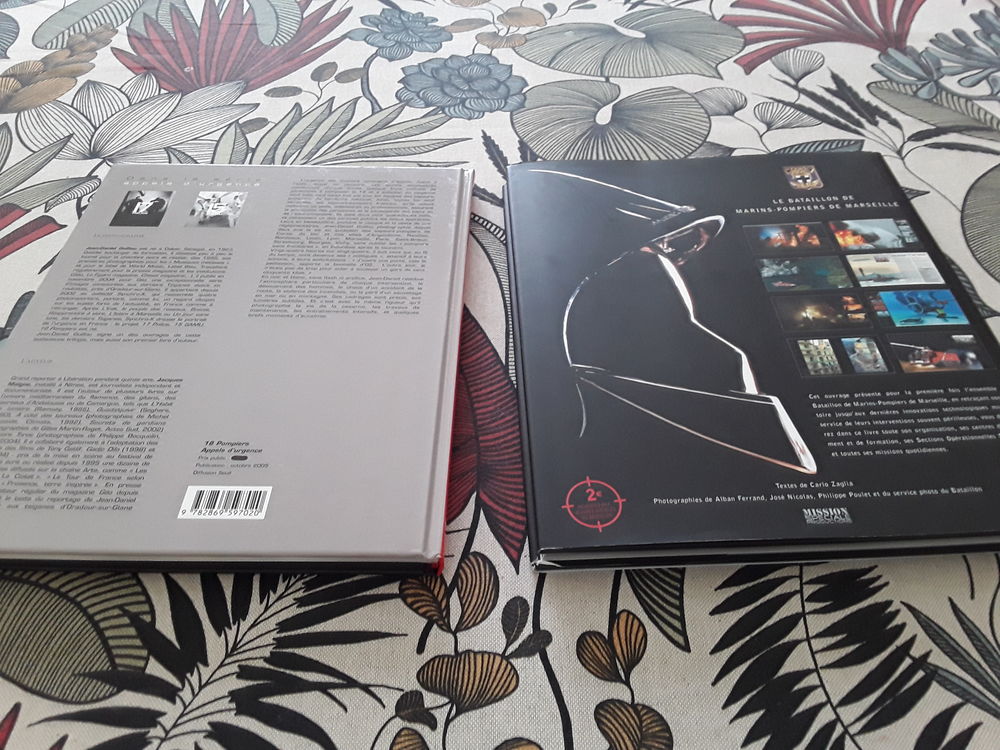 2 livres sur  les pompiers 10 Lannion (22)