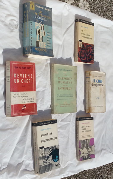 7 livres pour chefs d'entreprises (et pour les futurs) 49 Saint-Clair-sur-Galaure (38)