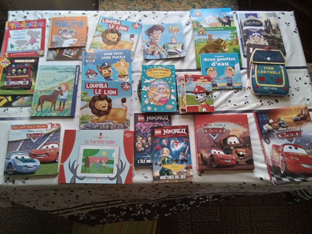 lot de livres pour enfant 5 Caen (14)