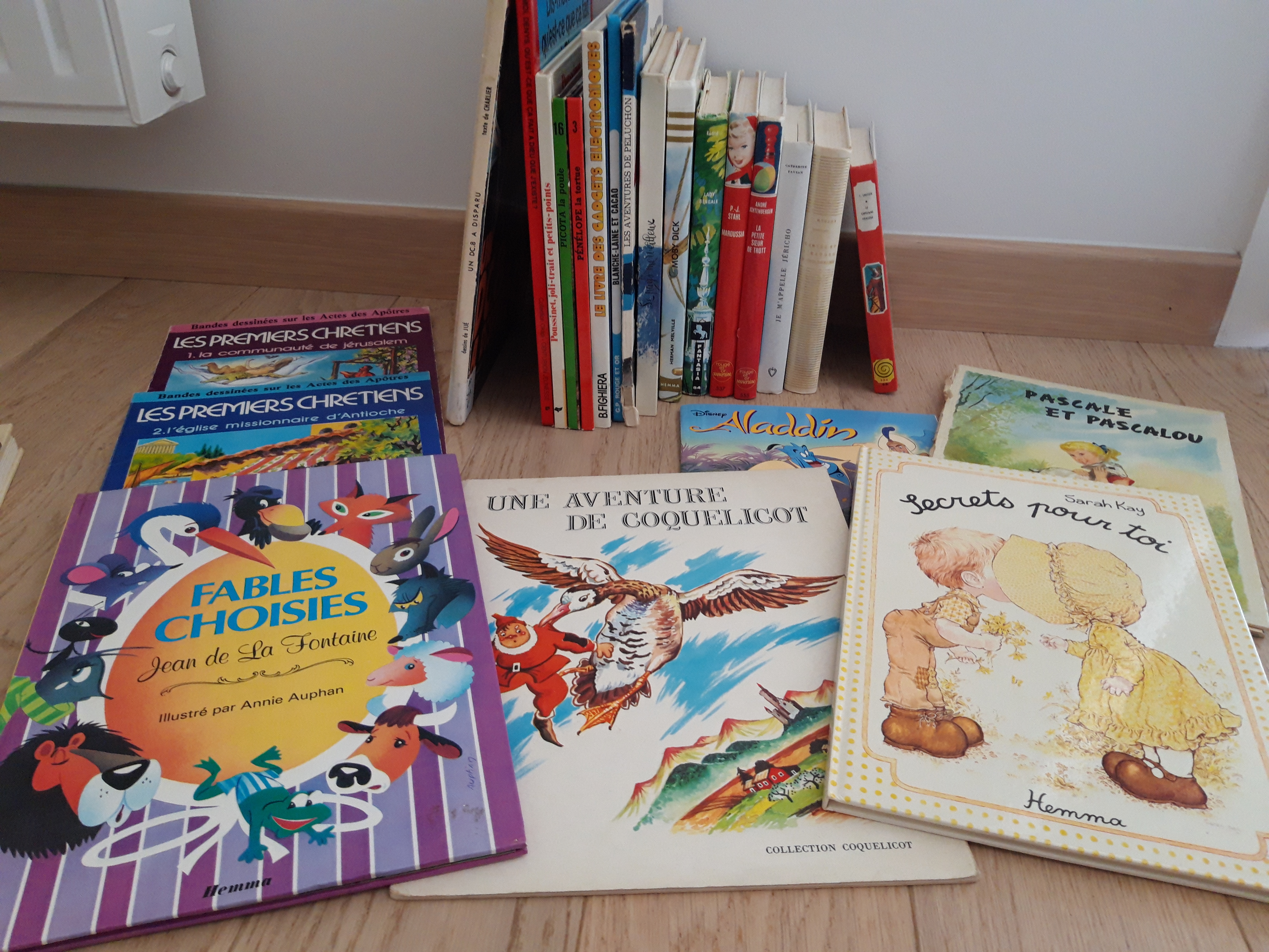 Livres pour Enfants 1 Caen (14)