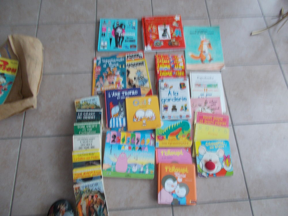 LOT DE LIVRES POUR ENFANTS ET ADOS 15 Bourgoin-Jallieu (38)