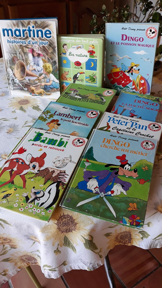 lot de 9 livres pour enfants 12 Roussillon (84)