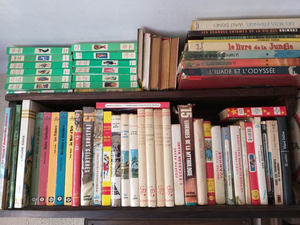 Livres pour la jeunesse 25 Moissac (82)