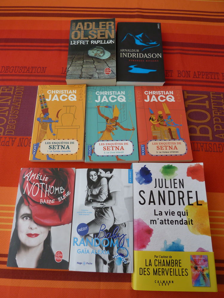 LIVRES RECENTS EN  BON ETAT 3 Ch�teauneuf-les-Martigues (13)