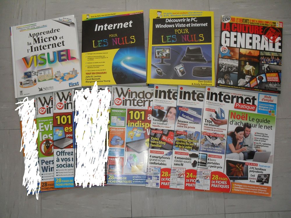 Livres et revues informatique internet pc micro 1 Toul (54)