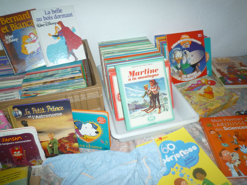 livres et revues 1 Lan�on-Provence (13)