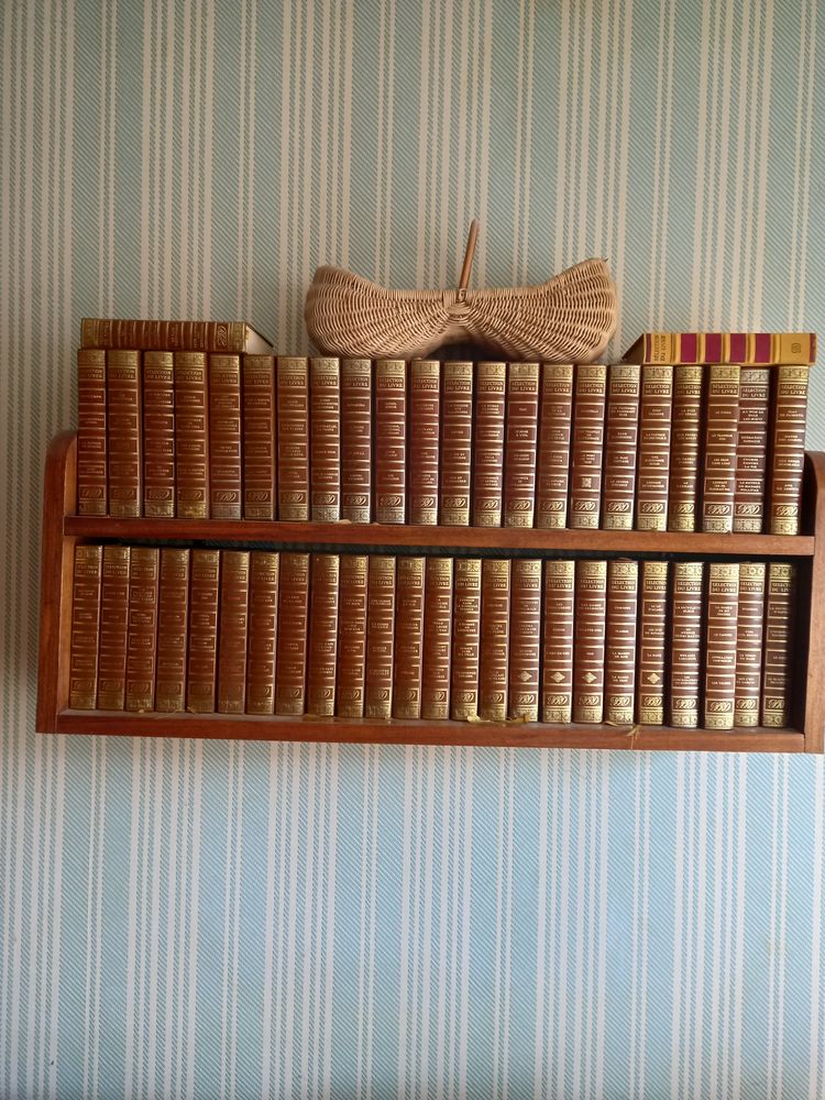 LIVRES ROMAN COLLECTION 10 Poitiers (86)