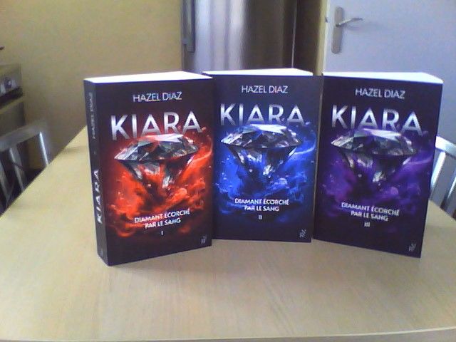 livres roman 15 Nancy (54)