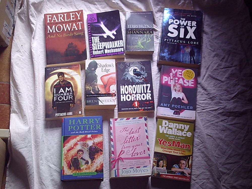 Livres et Romans en ANGLAIS (0,50 � � 1 �) 1 Bouxwiller (67)