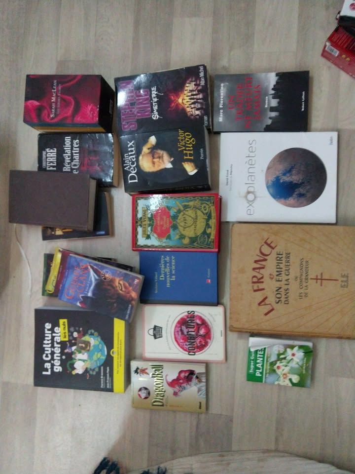 Livres, Romans, biographie 5 Cheny (89)