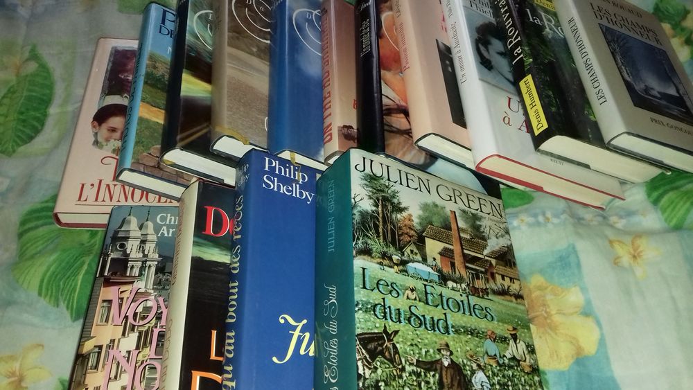 Livres - Romans divers 1 Lamonzie-Saint-Martin (24)