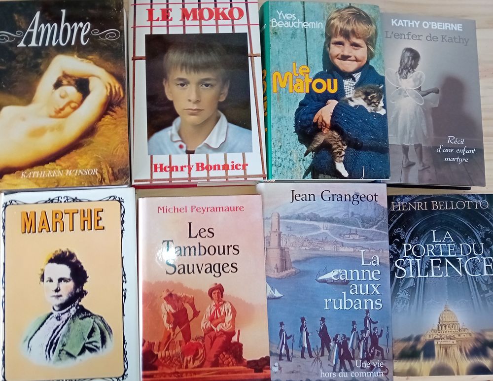 Lot de 8 livres Romans Divers Ecrivains 8 Saint-Dizier (52)