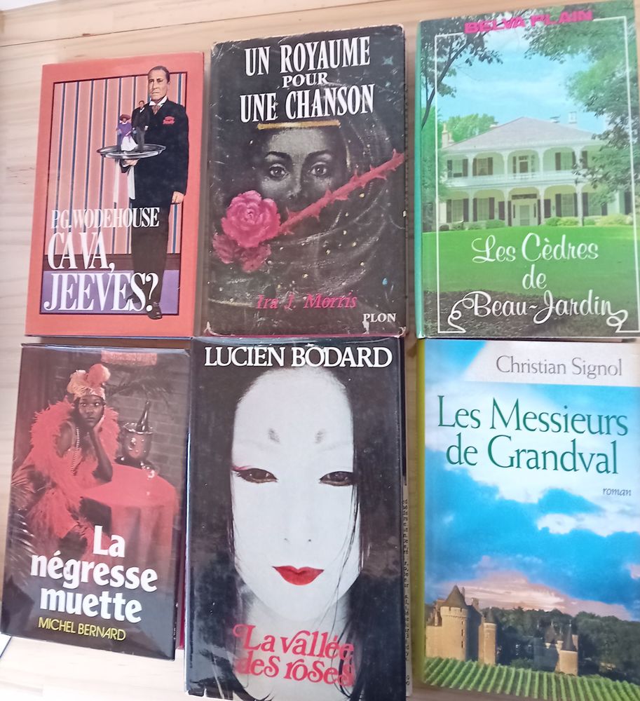 Lot de 6 livres Romans Divers Ecrivains 5 Saint-Dizier (52)