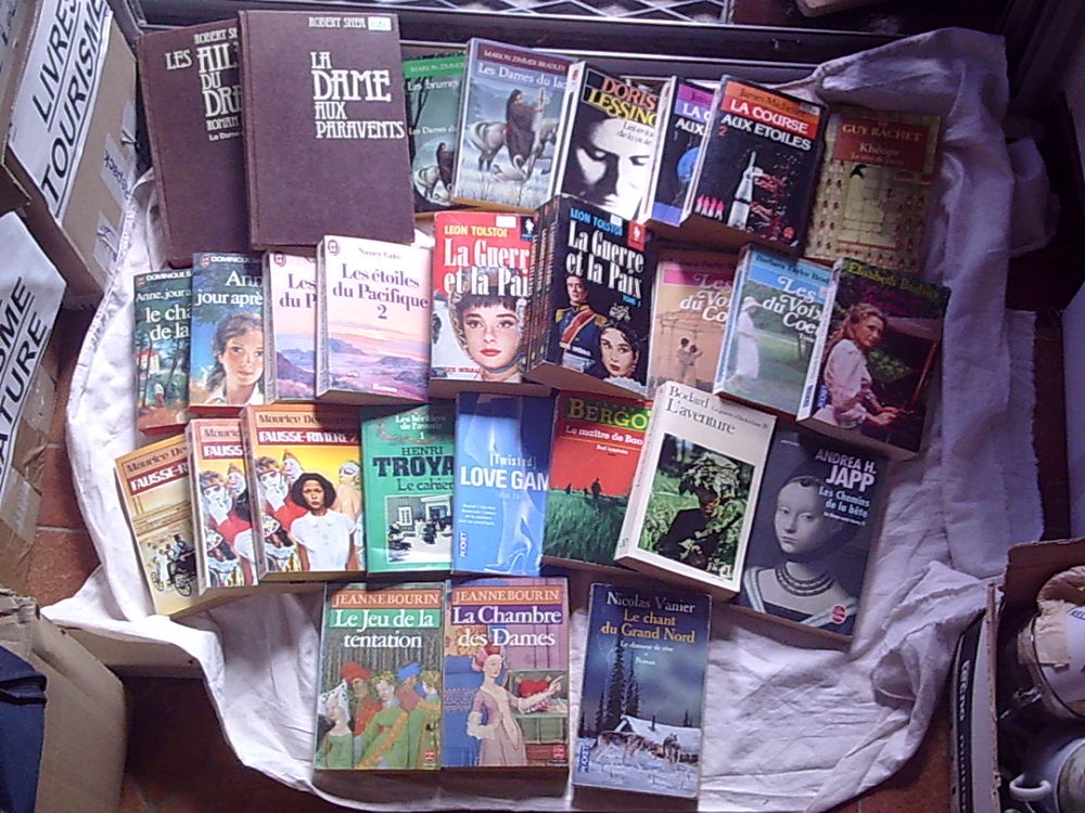 Livres & Romans  SAGA   tous genres (0,10 � � 2 �) 1 Bouxwiller (67)