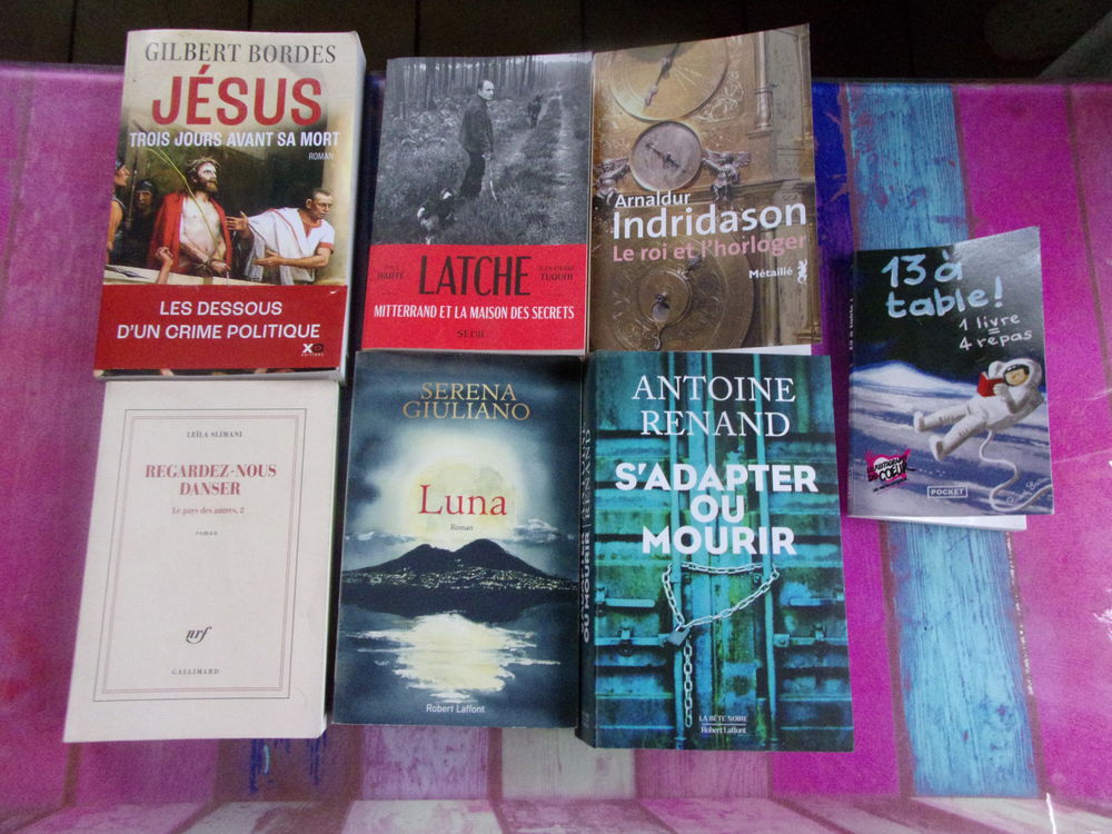 Livres, romans 20 Espalion (12)