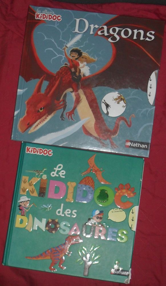 Lot de 2 livres de la s�rie Kididoc. 15 Montreuil (93)