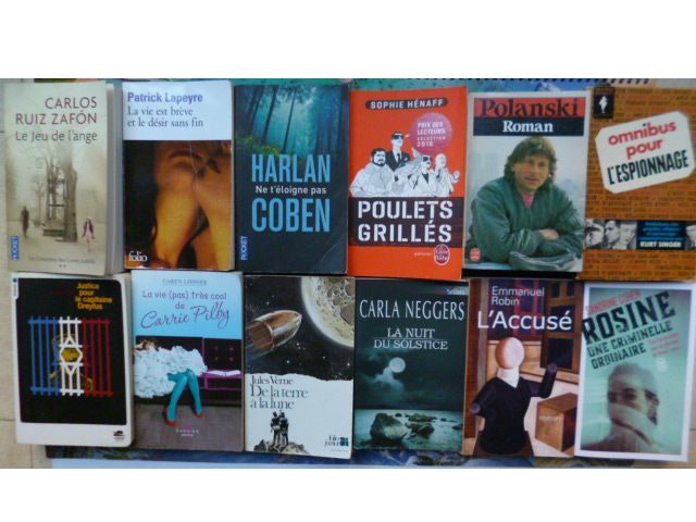 livres : suspens, romans, Coben, Polanski, Kahn,... 2 Martigues (13)