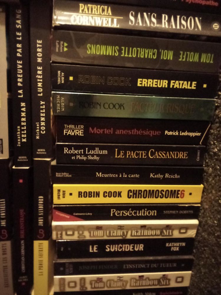 LOT DE 160 LIVRES THRILLERS, ROMANS NOIRS, GRAND FORMAT 320 Toulouse (31)