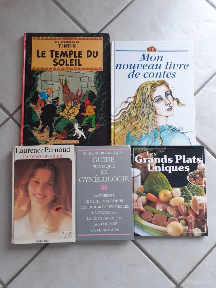 Livres Tintin / contes / grossesse / gyn�cologie / cuisine 3 Montcarra (38)