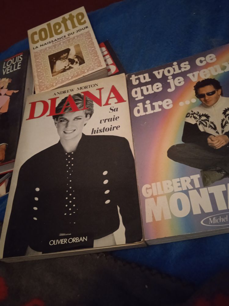 Livres tr�s bon �tat .hommage a DIANA 5euro.gilbert montagne 40 Marseille 4 (13)