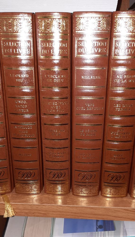 Lot de 26 Livres ou � l'unit� ... 260 Vieille-Brioude (43)