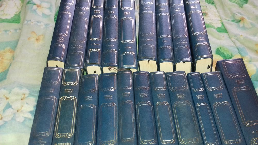 Livres 10 Lamonzie-Saint-Martin (24)