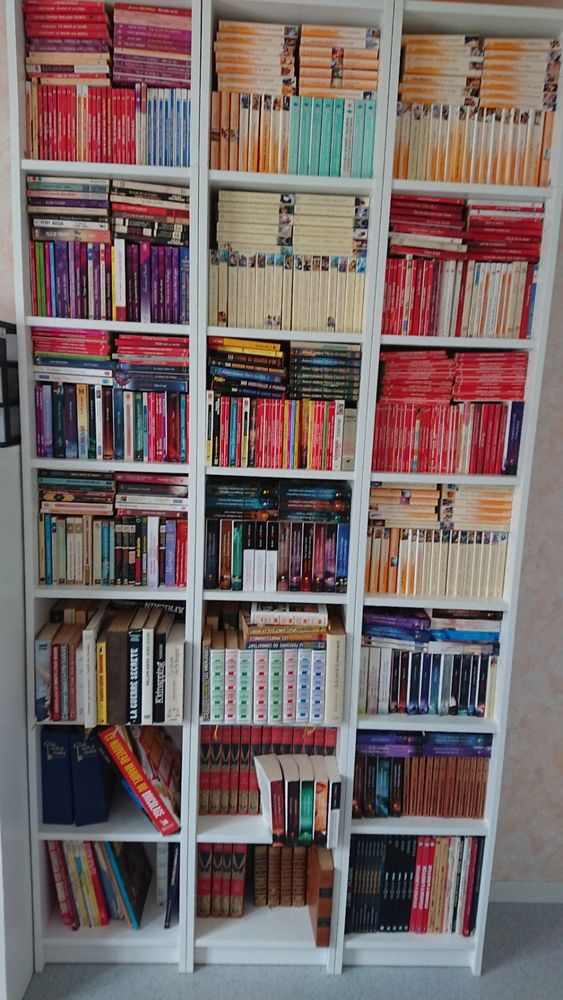 livres 1 Chavagnes-en-Paillers (85)