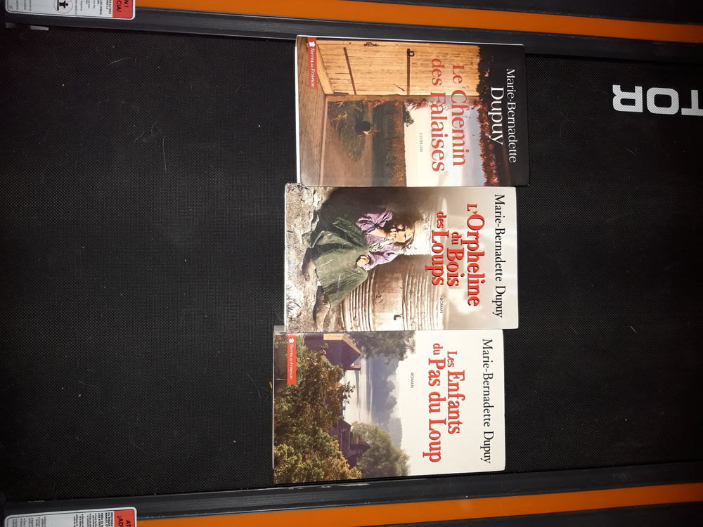 livres 50 Gond-Pontouvre (16)