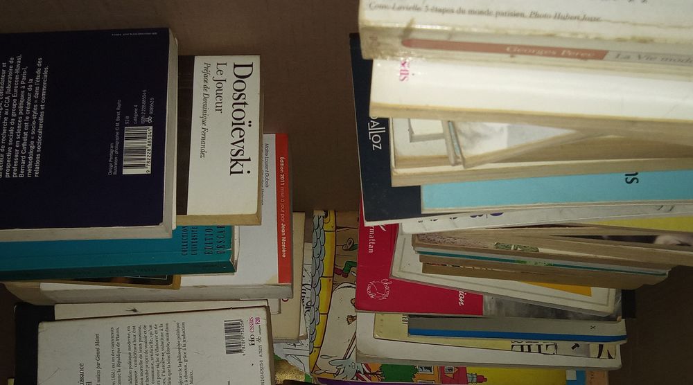 Lot de 100 livres 50 Audincourt (25)