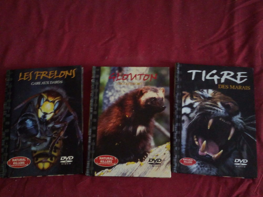 Livrets DVD 10 Sainte-Verge (79)