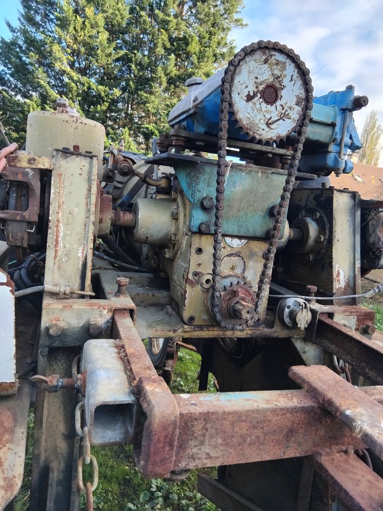 loiseau 634 10 Corpeau (21)