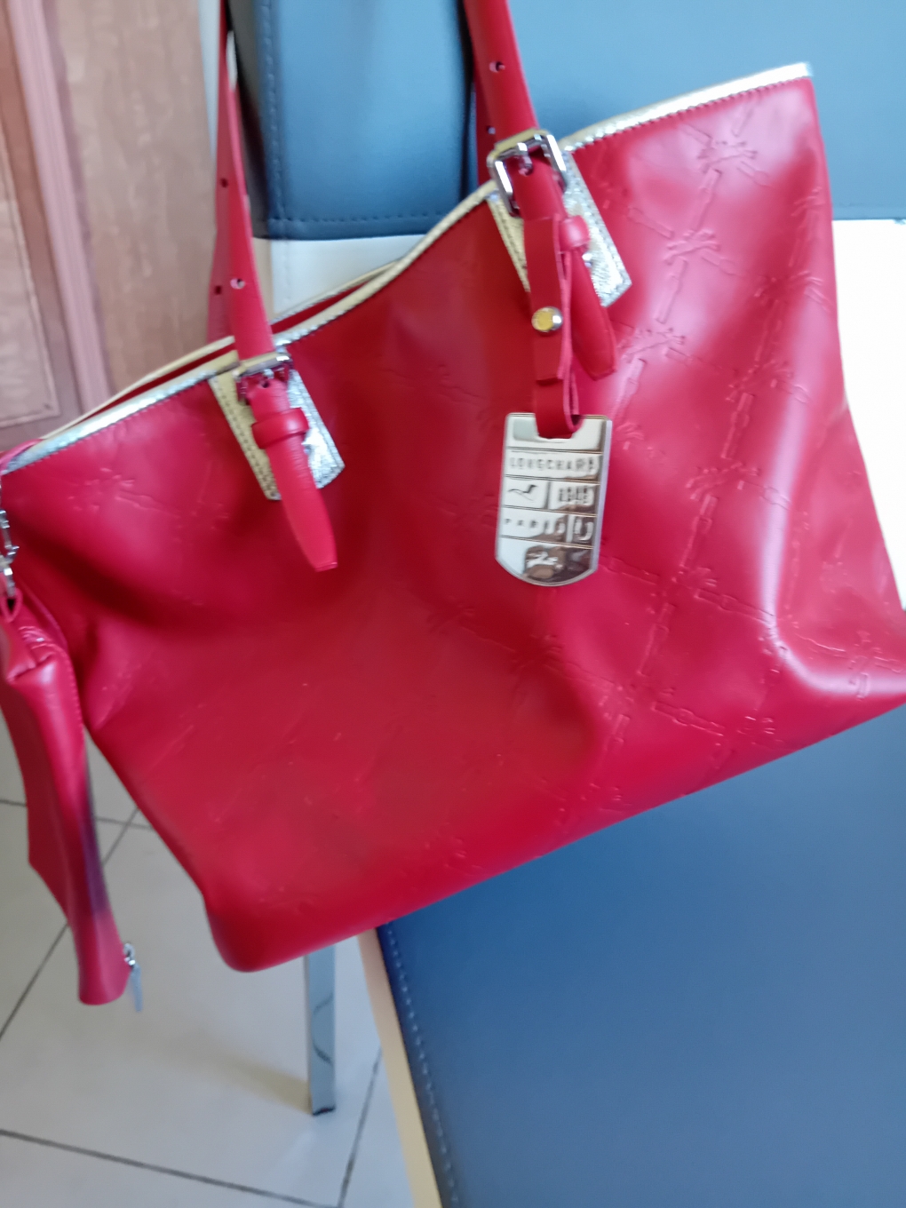 Sac longchamps 300 Le Teich (33)