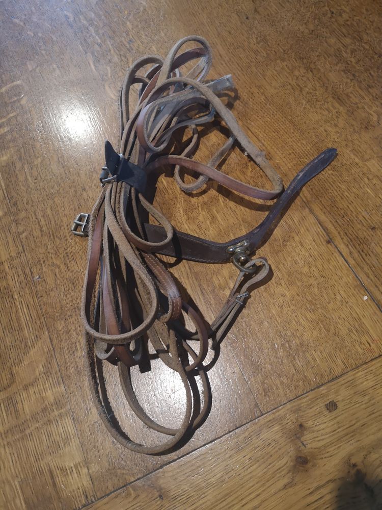 Longe 10 m et collier cuir chien de sang.
35 Peyzieux-sur-Sa�ne (01)