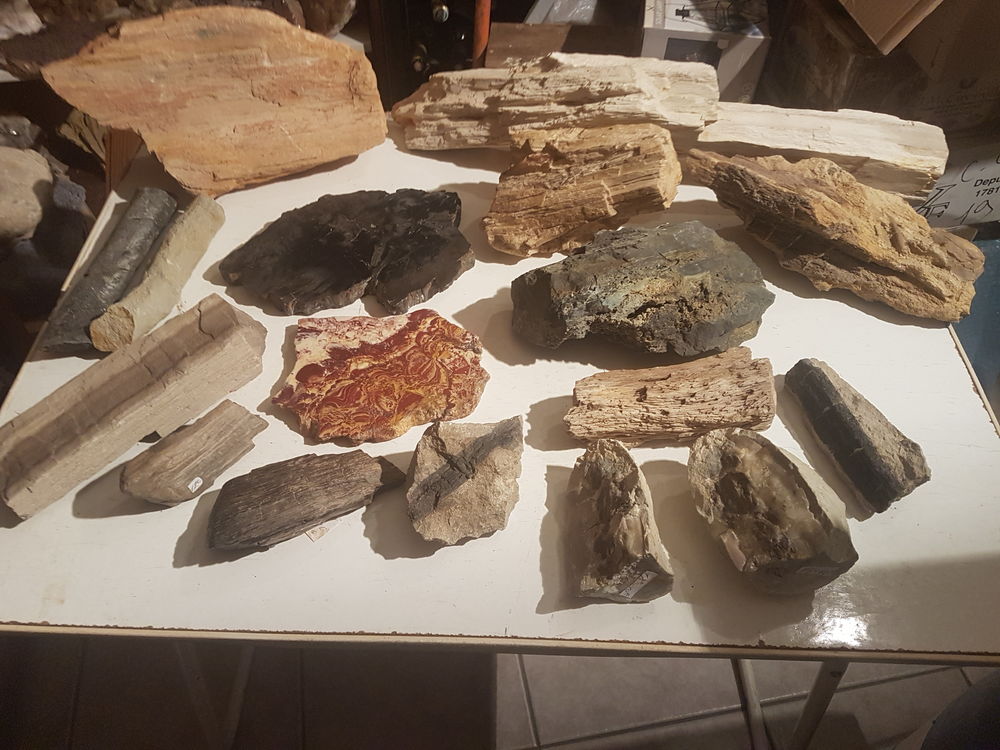 Lots bois fossiles 10 Fr�jus (83)