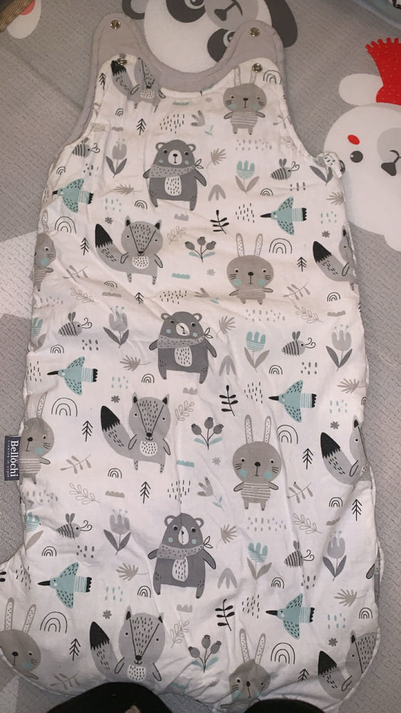 lots gigoteuses 0-6 mois 20 Blois (41)