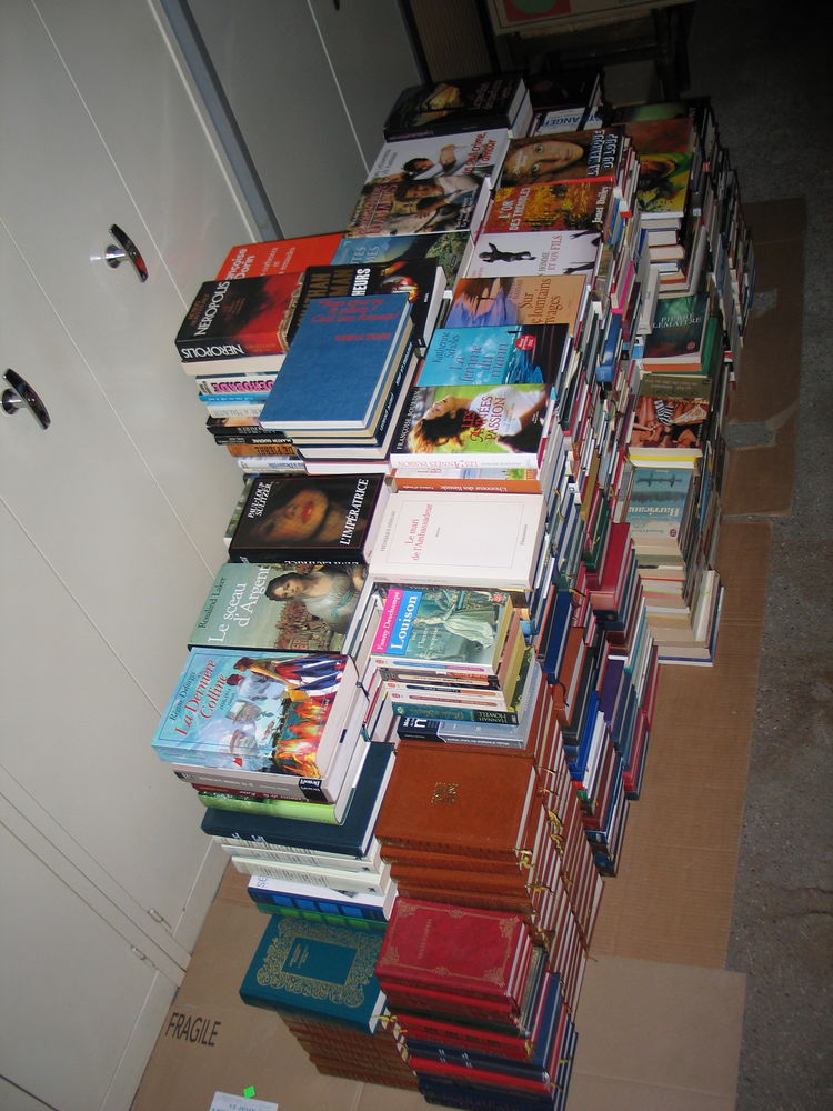 Lots de livres par 50 romans 30 Quincy-sous-S�nart (91)