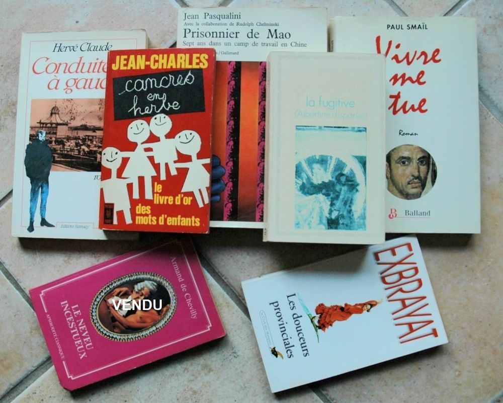 Lots 22 livres, Romans, Guides, Cuisine, Scolaires, Enfants 25 Buxerolles (86)