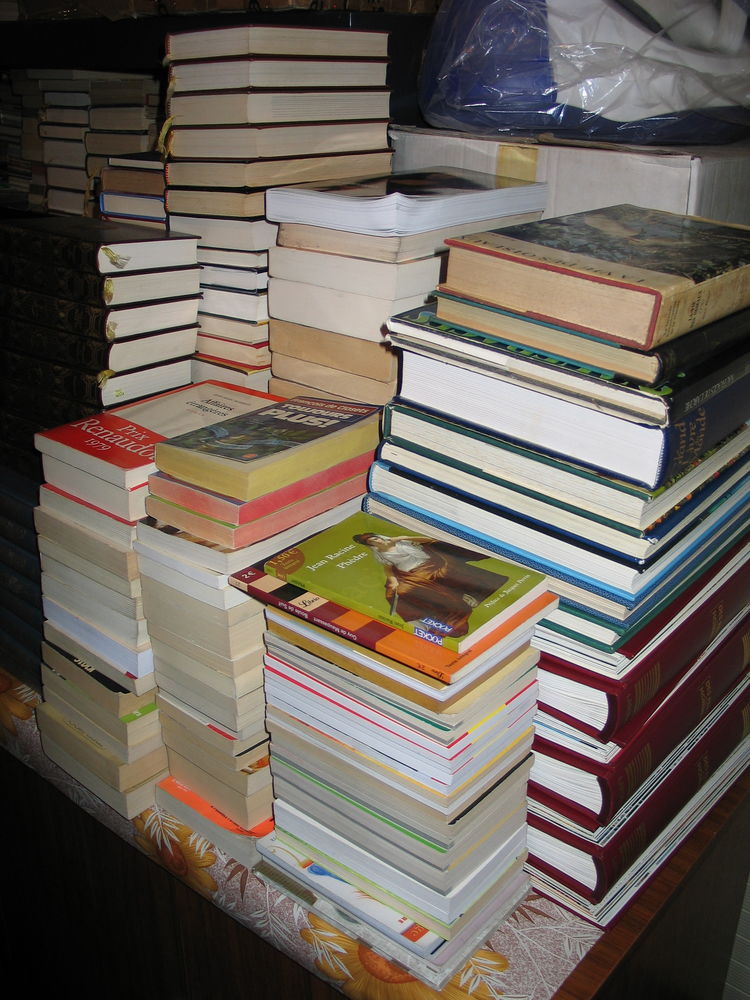 Lots de livres toutes cat�gories 1 Quincy-sous-S�nart (91)