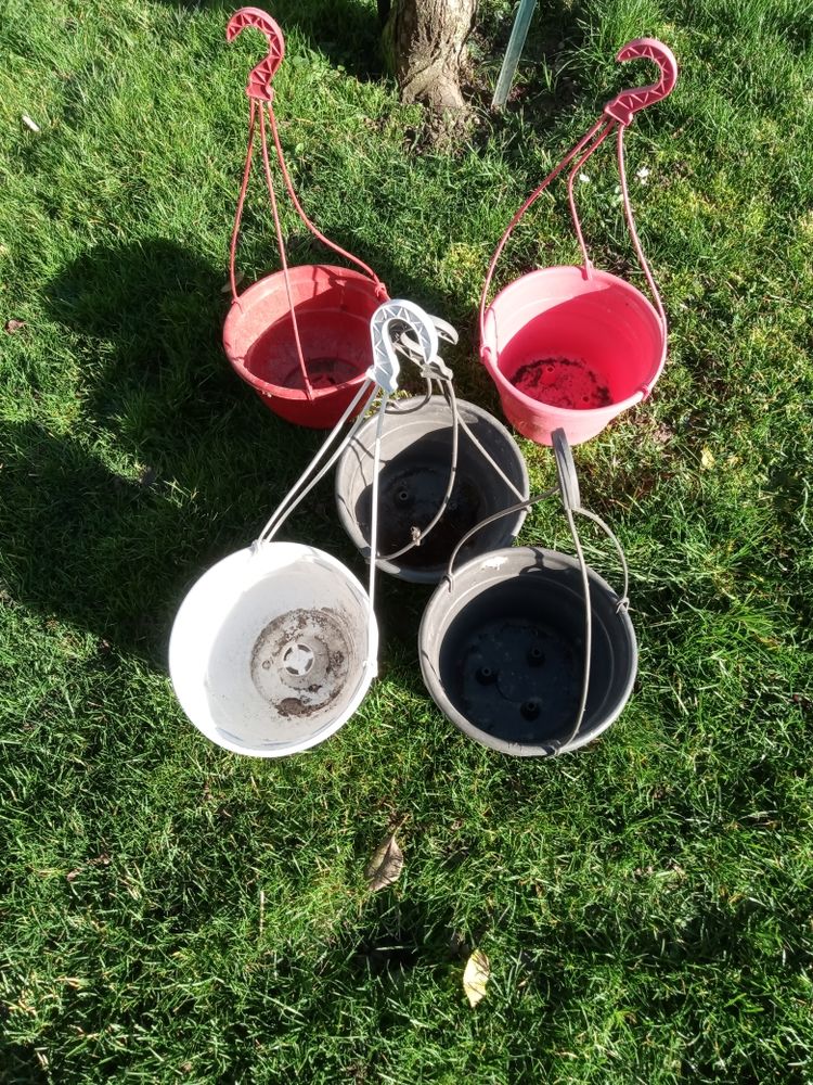 Lots de 5 suspensions hauteur 63 cm pot 27 sur 27 a
5 suspensions pour fleurs hauteur 63 cm pot 27 sur 27 a prendre sur place 40 Villenauxe-la-Grande (10)