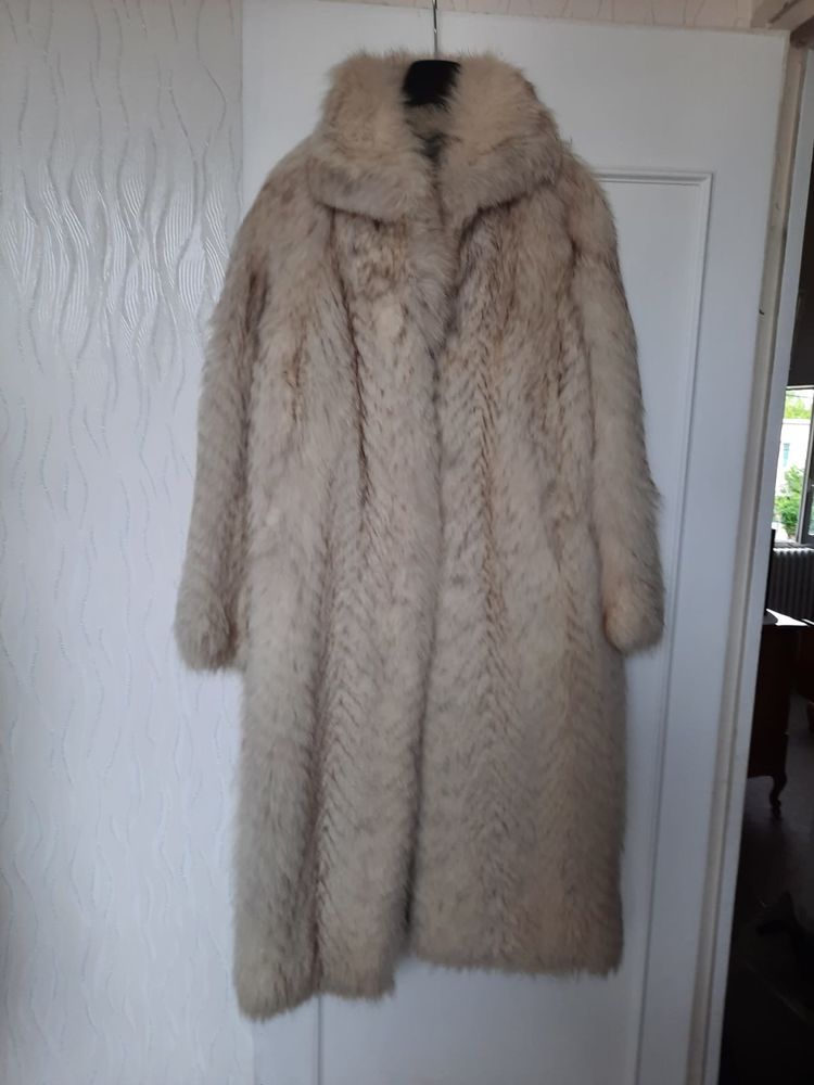 Loup blanc du Canada 1000 Bagneux (92)