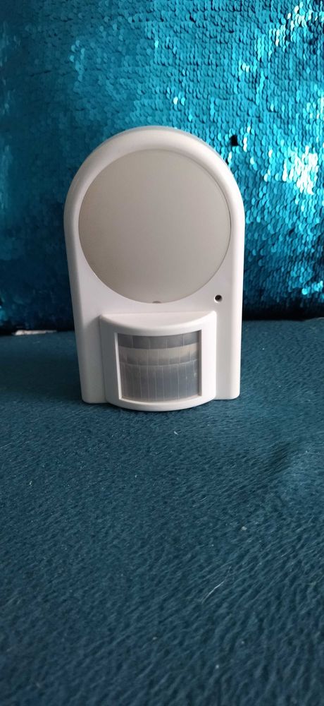 lumi�re d�tecteur de mouvement maison 7 Mably (42)