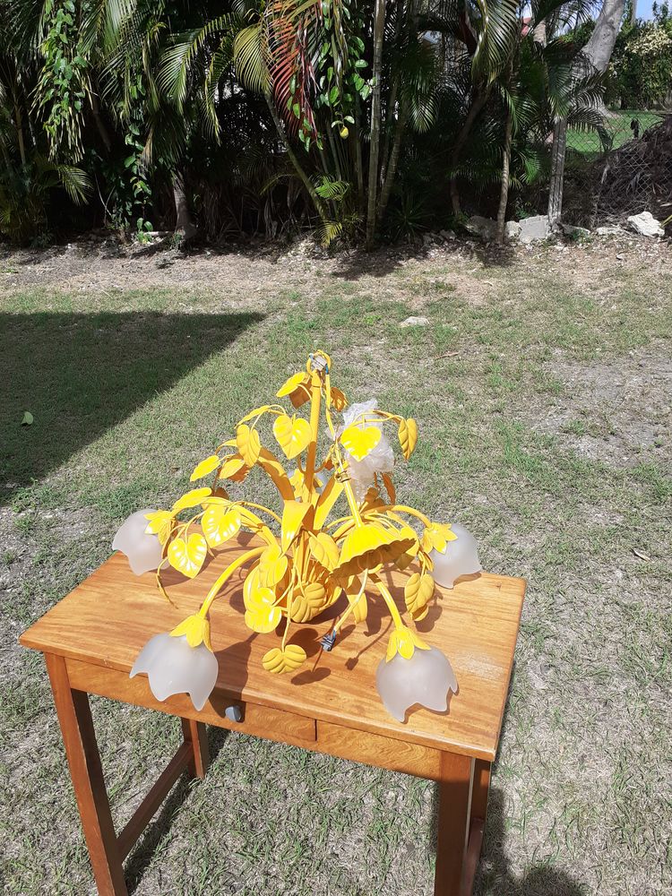 Luminaires 110 Saint-Fran�ois (97)