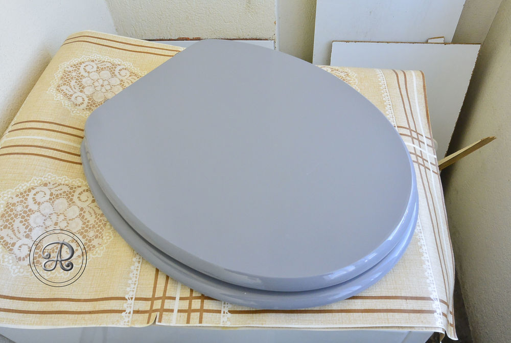 Lunette de toilette. 5 Castelnaudary (11)