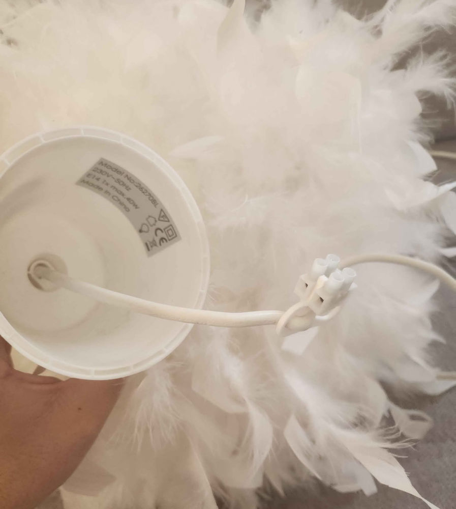 Luste plume 20 Troyes (10)